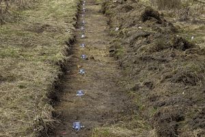 Blick auf Wiesenstreifen mit Zaunpfahlfundamenten. Eindruck der Baumaßnahmen zur Errichtung des Katzenschutzzaunes im Stadtquartier Krampnitz. 