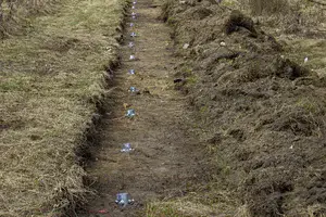 Blick auf Wiesenstreifen mit Zaunpfahlfundamenten. Eindruck der Baumaßnahmen zur Errichtung des Katzenschutzzaunes im Stadtquartier Krampnitz. 