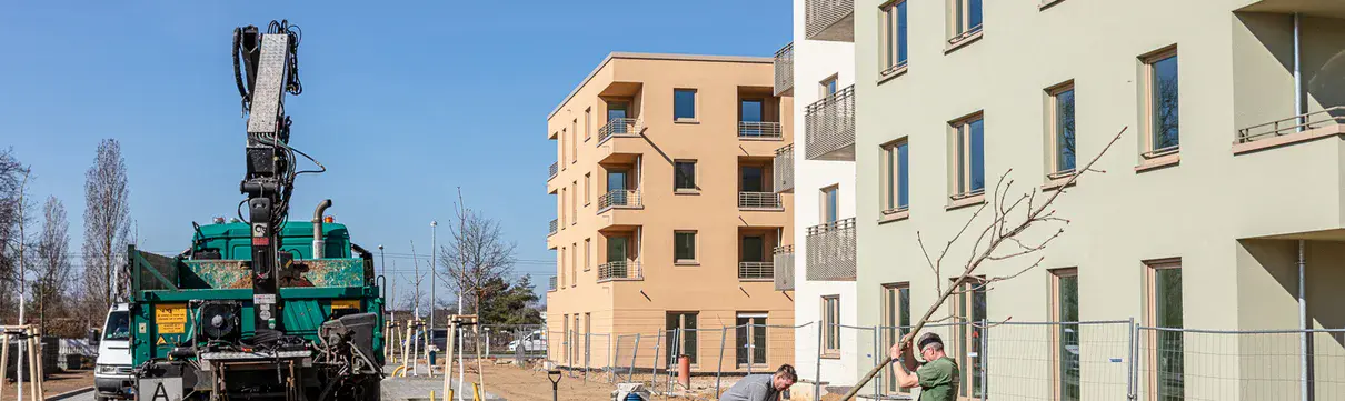 Zu sehen ist eine Baustelle mit fast fertiggestellten Häusern. Im Vordergrund pflanzen zwei Männer einen Baum an eine Straße. Links steht ein Arbeitsfahrzeug.