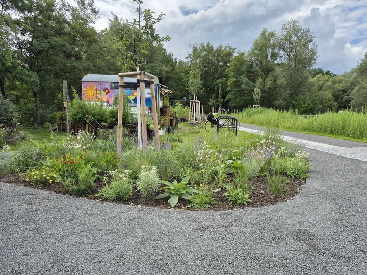 Grüner Gemeinschaftsgarten mit bunten Gemeinschaftswagen, blühenden Pflanzen und einem geschotterten Weg unter bewölktem Himmel.