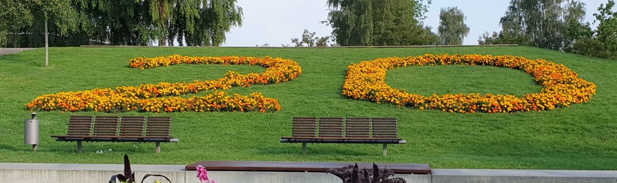 Eine Wiese im Volkspark Potsdam mit einer aus Blumen gepflanzten Zahl 20