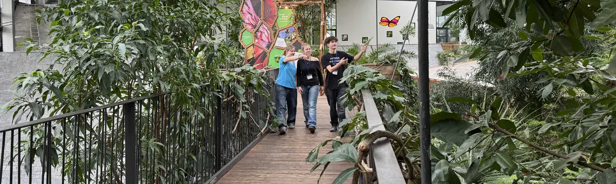 Biosphäre Potsdam IHK Schule-Wirtschaft c Emmelie Munack Zwei Mädchen und ein Junge gehen auf einem Holzsteg entlang und zeigen auf etwas. Ringsum sind Tropenpflanzen.