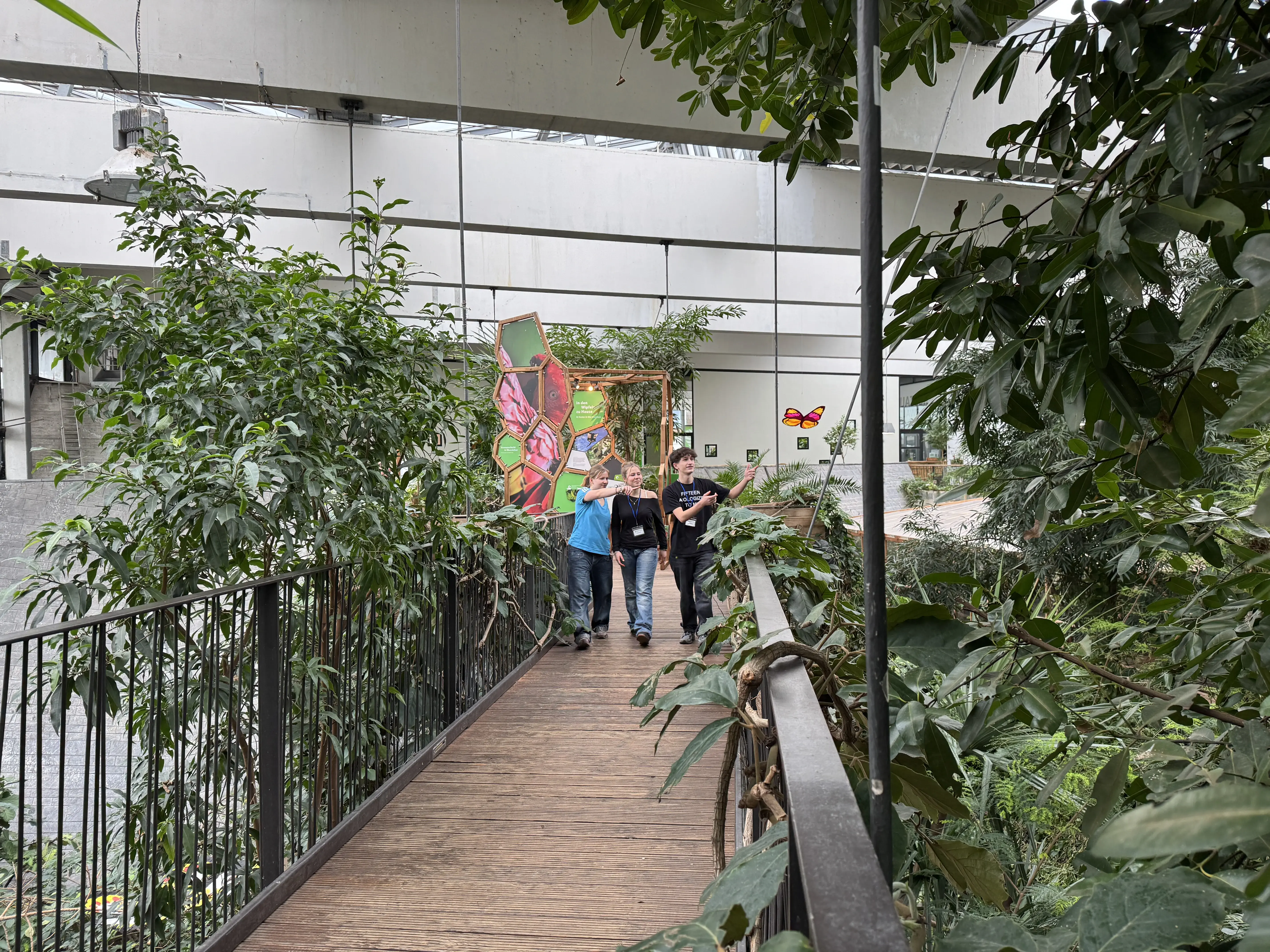 Biosphäre Potsdam IHK Schule-Wirtschaft c Emmelie Munack Biosphäre Potsdam IHK Schule-Wirtschaft c Emmelie Munack