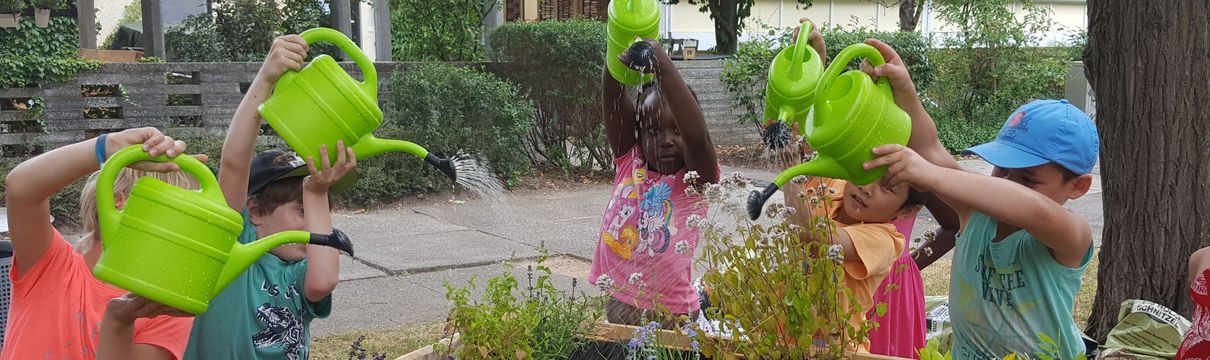 Urban Gardening Projekt am Friedrich-Reinsch-Haus im Schlaatz