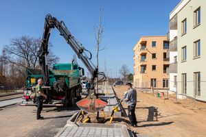 Zwei Männer pflanzen einen Baum mit einem Schaufelbagger mit zwei Häusern am rechten Bildrand