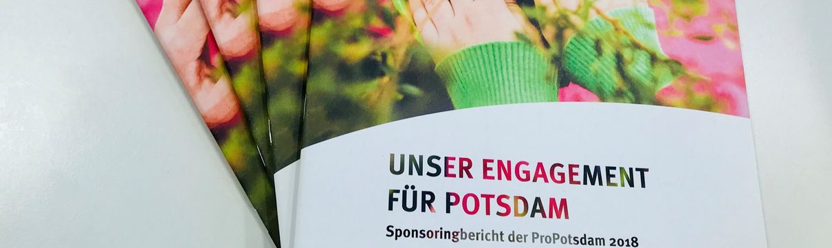 Der Sponsoringbericht in der Druckfassung