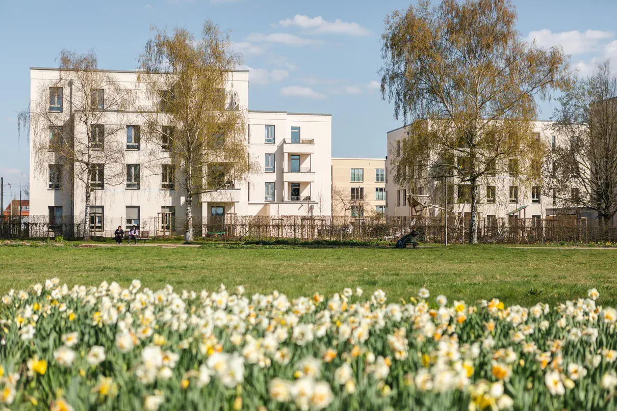 Volkspar Potsdam, Blick auf Wohnanlage Im Vordergrund des Bildes sind Blumen auf einer Rasenfläche zu sehen, im Hintergrund mehrere Häuser, davor vereinzelt Bäume.