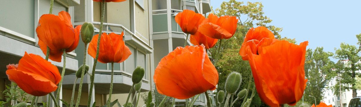 Ein Wohngebäude im Stadtteil Waldstadt I