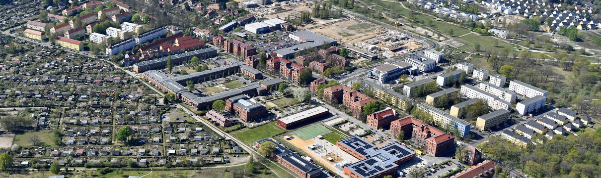 Bornstedter Feld Luftbild vom Bornstedter Feld