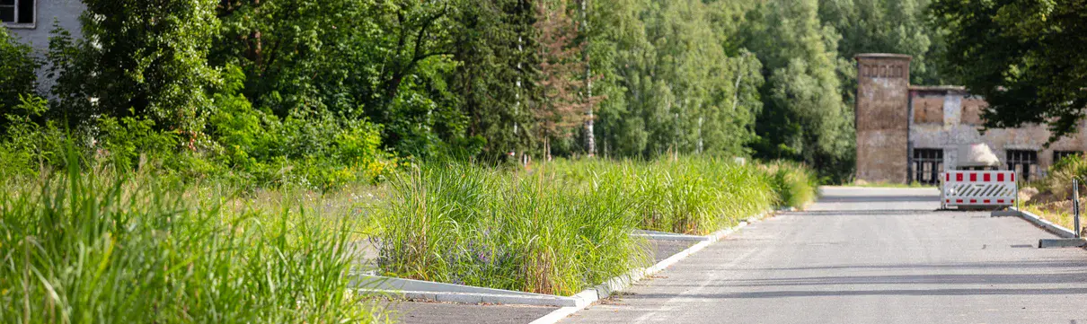 Eine Straße mit grün blühenden Pflanzen auf der linken Seite und historischen Gebäuden im Hintergrund..