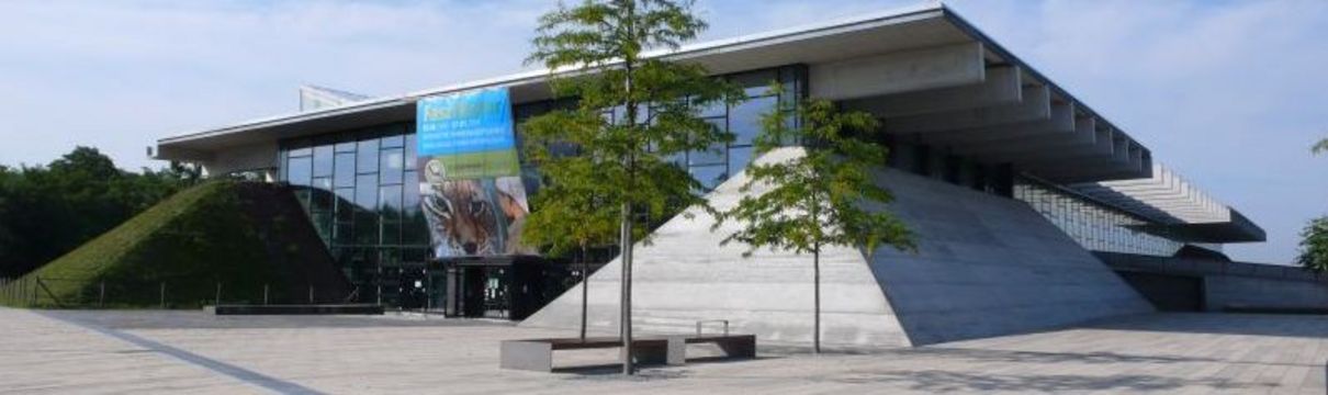 Zu sehen ist die Glasfront der Biosphäre Potsdam am Volkspark, im Vordergrund ist eine steinerne Fläche mit ein paar Bäumen.