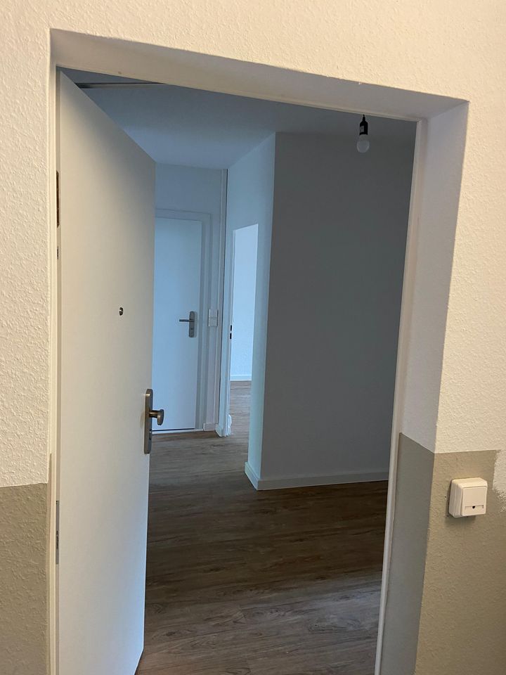 Frisch gestrichene Wände mit Blick durch eine offene Wohnungstür.