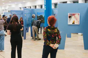 Menschen schauen sich Bilder in einer Ausstellung an.