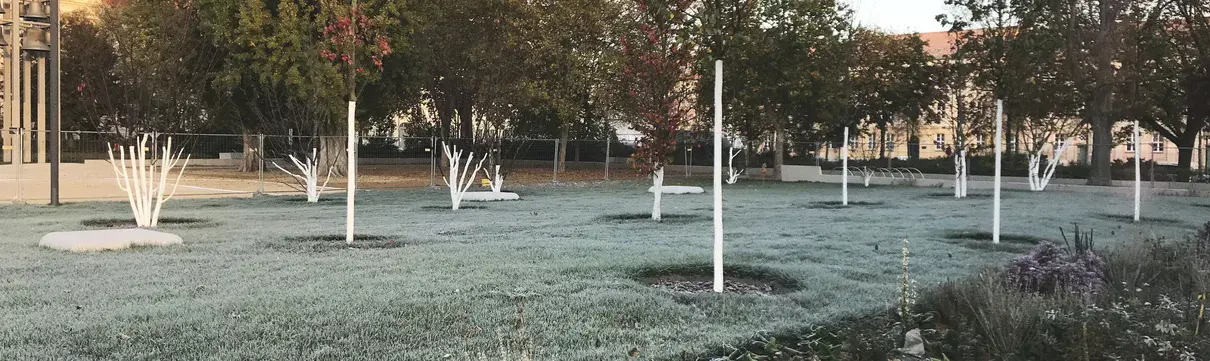 Eine Rasenfläche mit jungen, frisch gepflanzten Bäumen und Sträuchern im Vordergrund.