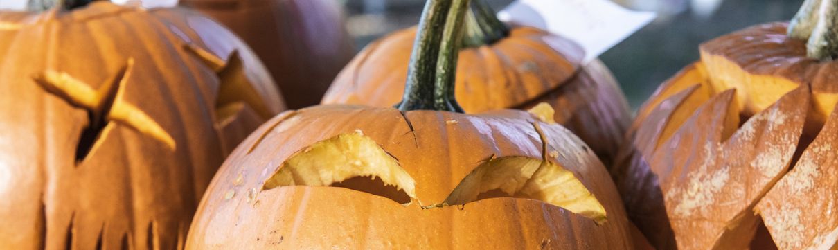 Ausgeschnitzte Kürbisse mit Halloween-Gesichtern