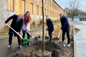 Der Geschäftsführer des Entwicklungsträgers, der Oberbürgermeister und der Baubeigeordnete  pflanzen einen Baum ein.