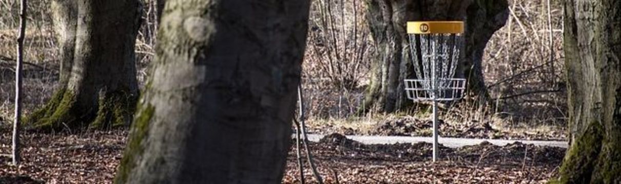 Auf dem Bild ist eine herbstliche Waldlandschaft zu sehen, in deren Mittelgrund ein Discgolf-Korb liegt.