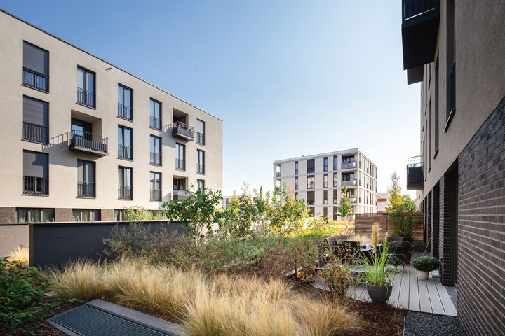 Drei helle, mehretagige Wohnhäuser umschließen einen begrünten Innenhof und geben den Blick auf eine bepflanzte Terrasse frei