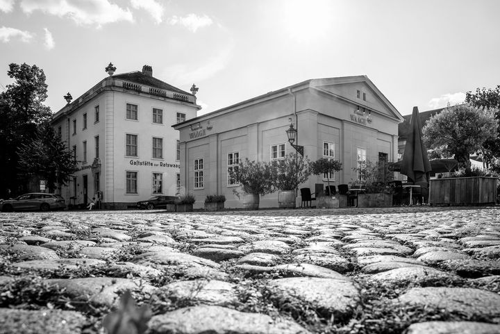 Schwarz-Weiß-Foto in dessen Vordergrund dicke Pflastersteine und in der zweiten Bildhälfte ein kleines Häschen mit Kübelpflanzen davor sichtbar ist.