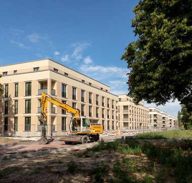 Baum auf Wiese, hinter der sich ein Neubaufeld anschließt mit einem viergeschossigem, neuen Haus vor dem ein Bagger steht