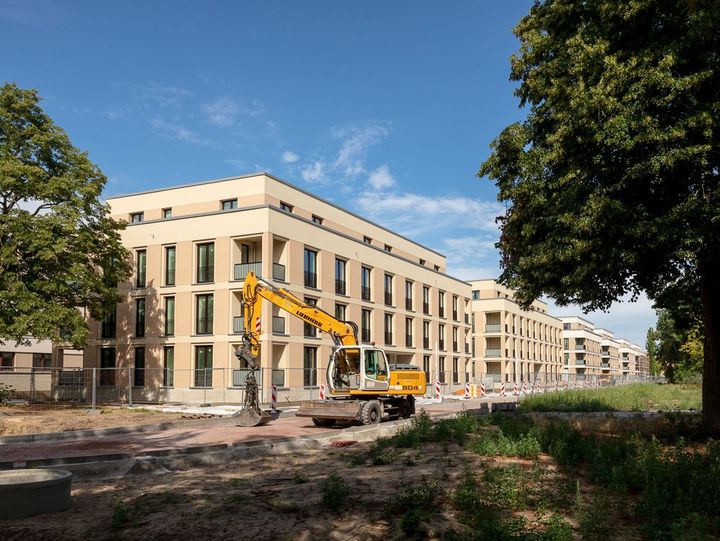 Baum auf Wiese, hinter der sich ein Neubaufeld anschließt mit einem viergeschossigem, neuen Haus vor dem ein Bagger steht