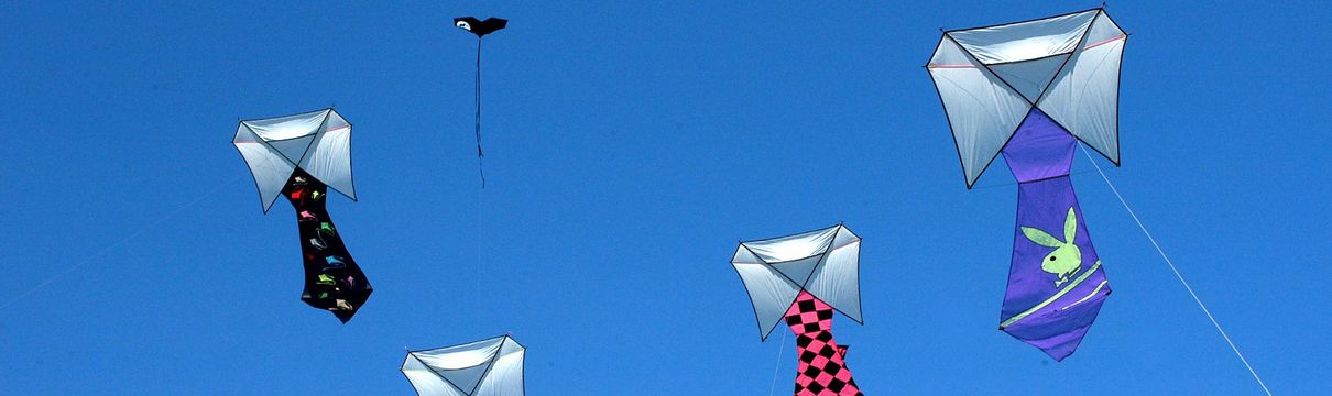 Fünf verschiedenfarbige Drachen schweben im blauen Himmel.