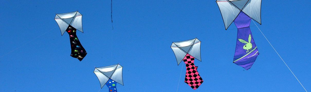 Fünf verschiedenfarbige Drachen schweben im blauen Himmel.