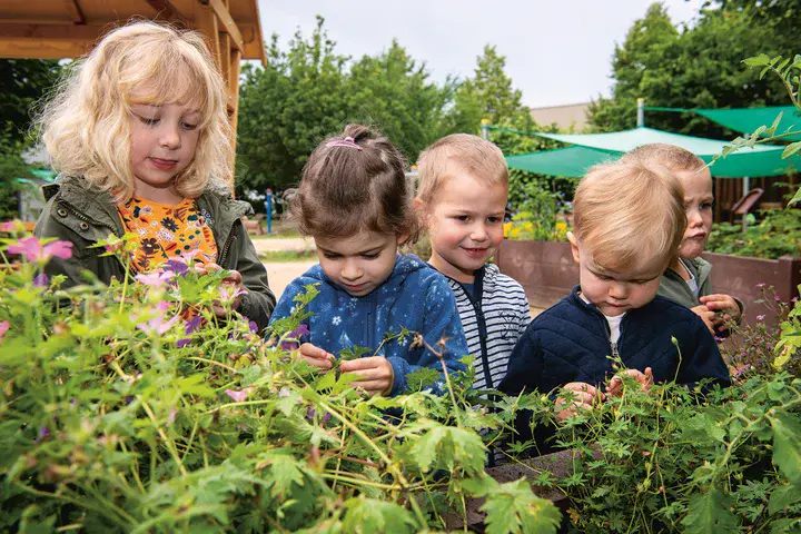 Fünf Kita-Kinder stehen an einem Hochbeet und berühren die Pflanzen in dem Beet.