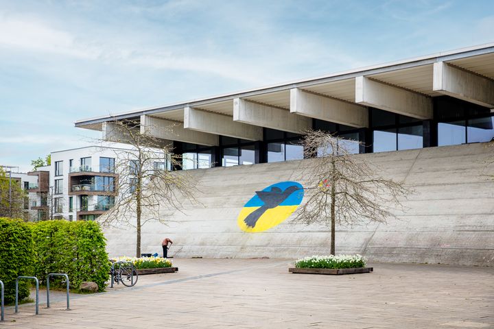 Die Biosphäre Potsdam von außen, bemalt mit einem blau-gelben Kolibri