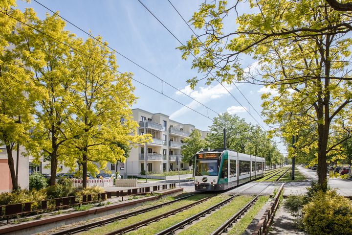 Straßenbahn im Bornstedter Feld