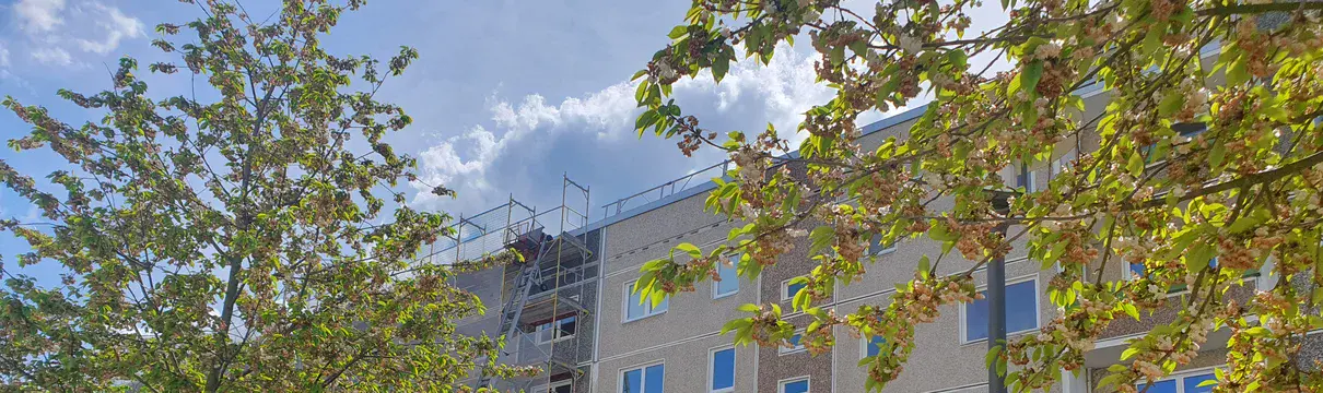 Grüne Bäume, Bauzaunabsperrungen und eine Baustelleneinrichtung vor einem unsanierten Plattenbau
