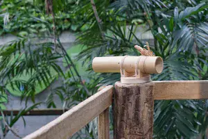 Ein Fernrohr aus Holz liegt auf einem Holzpfeiler. Im Hintergrund sind Palmen zu sehen.