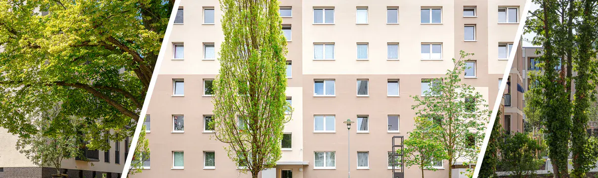 Generationsgerechtes Bauen und Sanieren bei der ProPotsdam