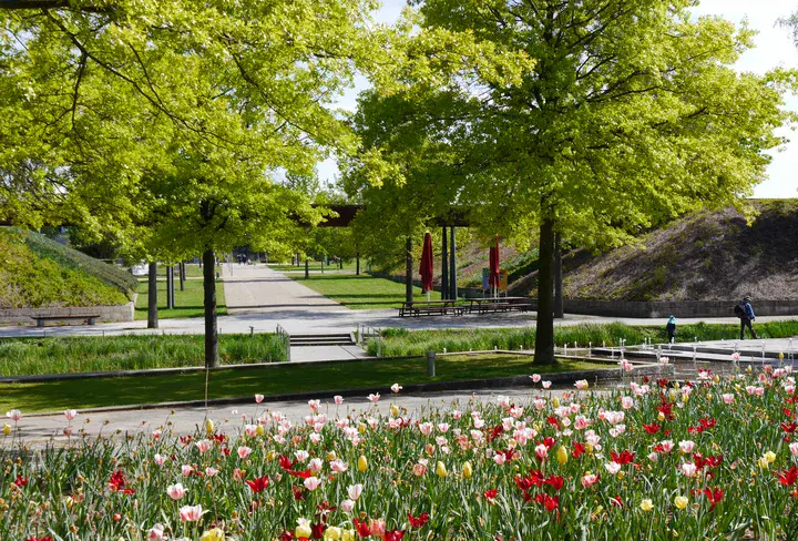 Volkspark Bäume, Blumen und Wege im Volkspark Potsdam