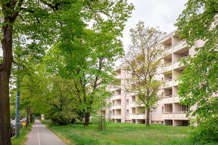 Ein breiter Grünstreifen gibt den Blick auf die Balkone eines hellen, fünfetagigen Plattenbaus frei