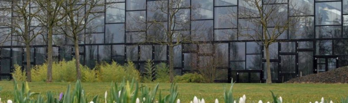 Frühlingsblumen auf der Rasenfläche vor der Glasfront der Biosphäre Potsdam