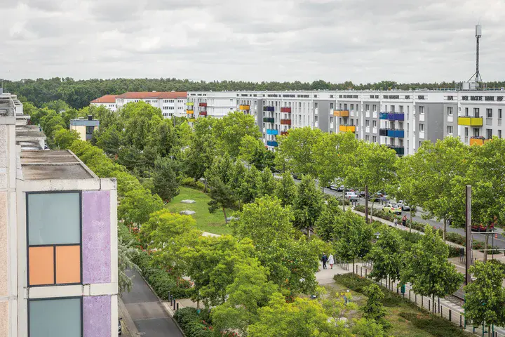 Blick vom Hausdach auf die Straße, die vor lauter grünen Bäumen kaum zu sehen ist 