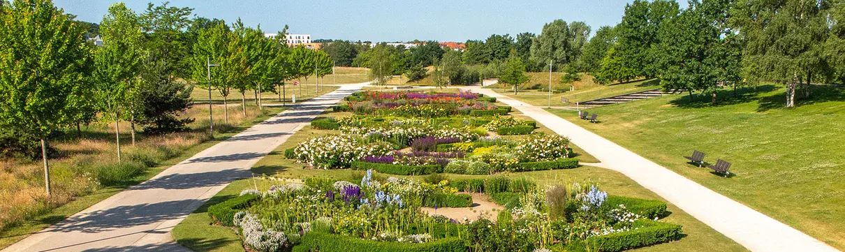 Volkspark Potsdam (Foto: Roland Kutz) Parkfläche mit angelegten Blumen in verschiedenen Farben.