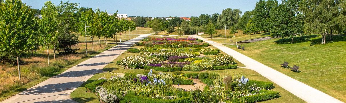 Parkfläche mit angelegten Blumen in verschiedenen Farben.