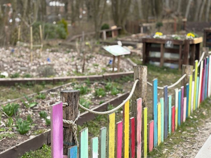 Saisoneröffnung und Pflanzentausch auf der Wendeschleife Gemeinschaftsgarten mit Hochbeeten und frisch bepflanzten Beeten zur Saisoneröffnung auf der Wendeschleife