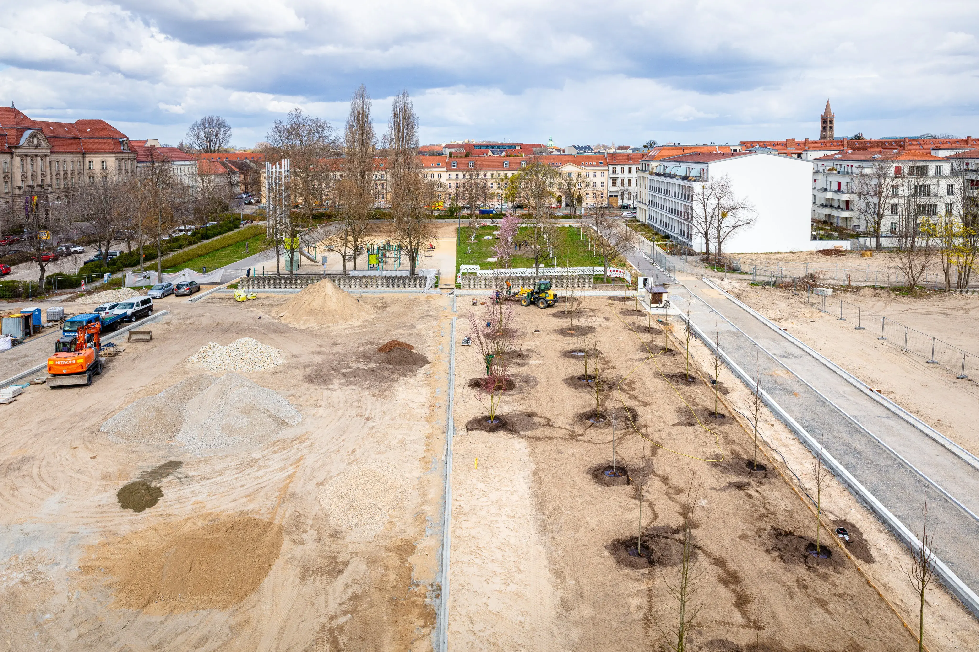 Baumpflanzung Plantage Potsdam (Foto: Benjamin Maltry)