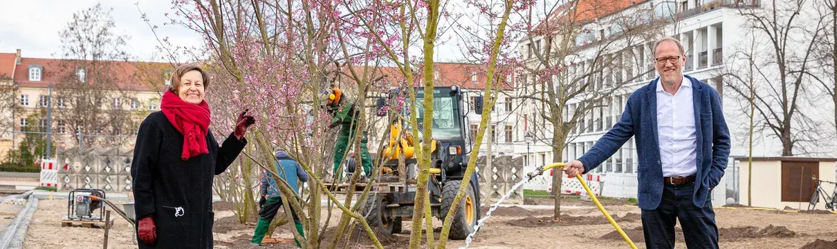 Die Geschäftsführer des Sanierungsträgers Potsdam stehen an einem neu gepflanzten Baum und bewässern ihn mit einem Schlauch.