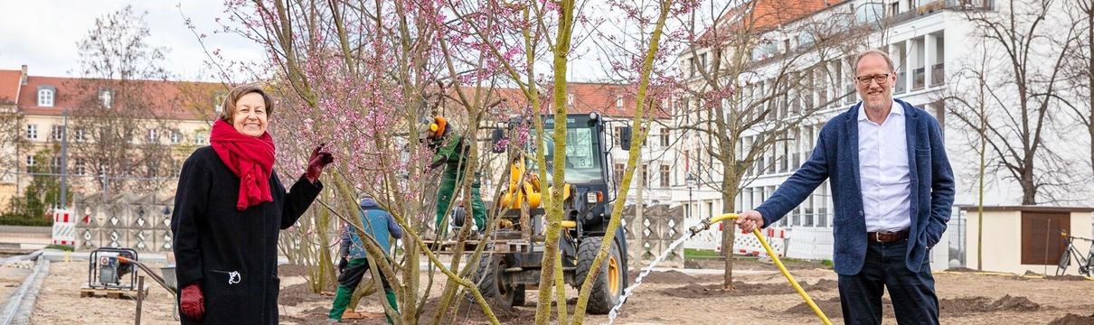 Die Geschäftsführer des Sanierungsträgers Potsdam stehen an einem neu gepflanzten Baum und bewässern ihn mit einem Schlauch.