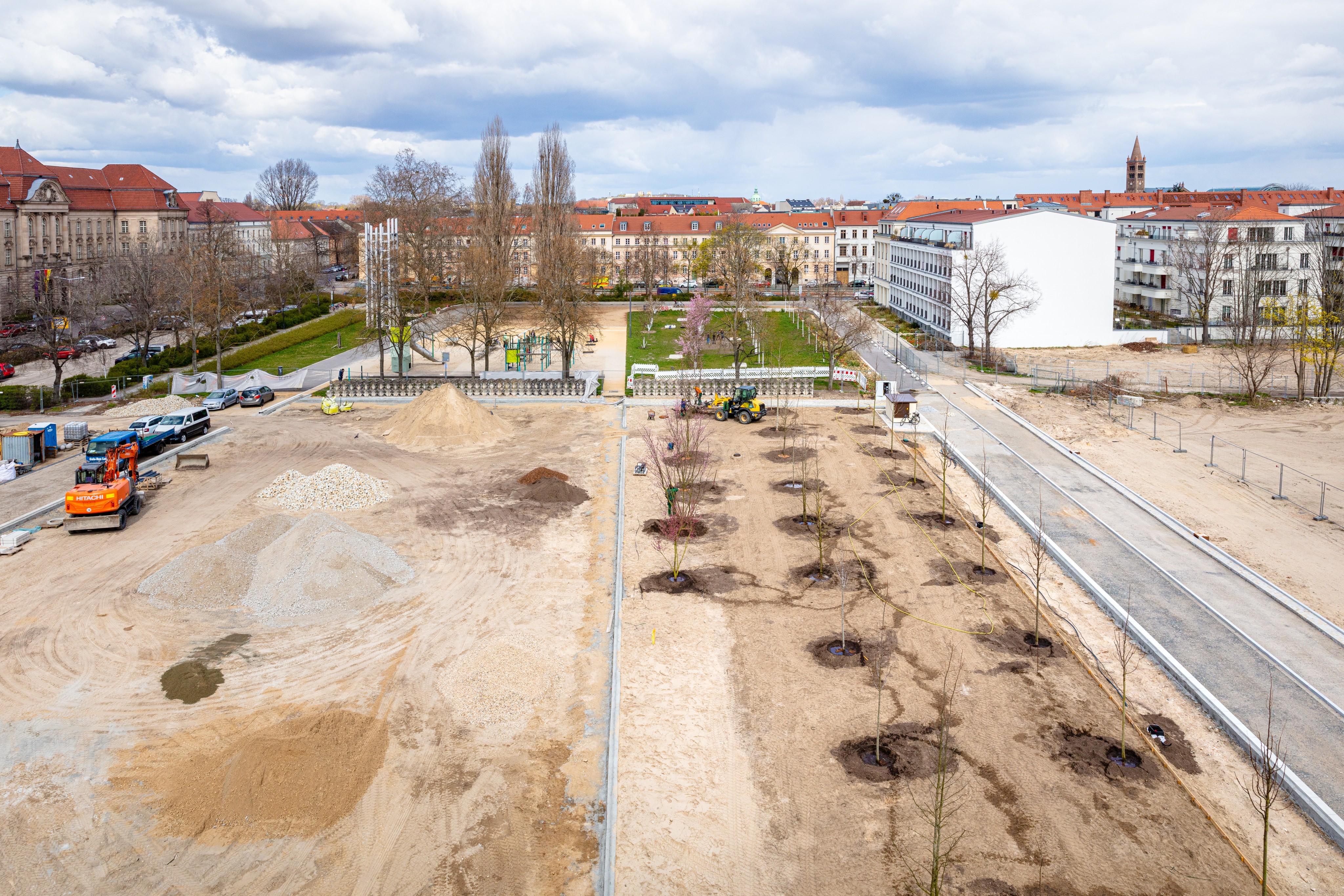Baumpflanzung Plantage Potsdam (Foto: Benjamin Maltry)